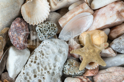 Sea Pebbles With Shells And Starfish