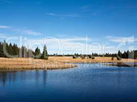 Dead pond, Ore Mountains, Czech republic