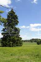 Natural Preserve Kladska peats