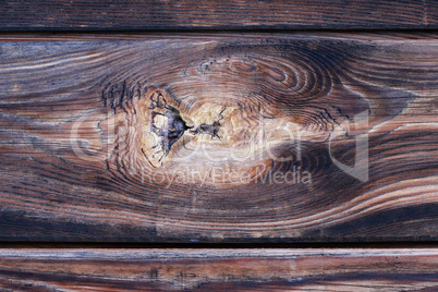Knot in wood - wooden texture