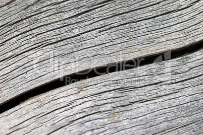 Crack in the wood
