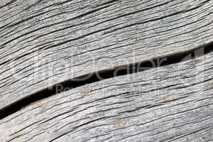 Crack in the wood