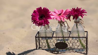 Flowers in glass bottle in metallic basket on sand