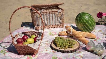 Picnic with different sorts of snacks on blanket