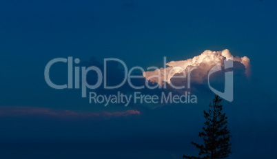 Clouds and silhouette of a tree