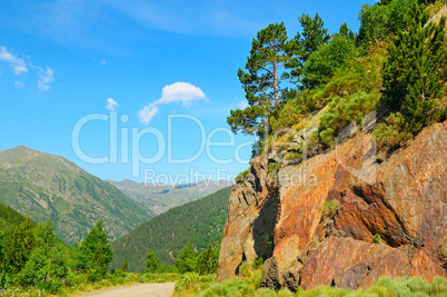 Scenic mountain landscape with cliff and pines