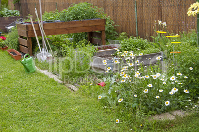 Garten im Sommer