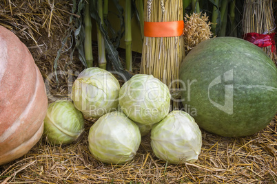 Vegetable harvest is sold at the fair.