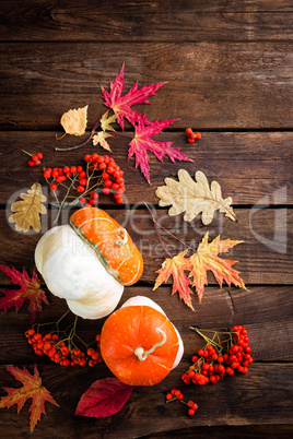 autumn background with leaves and pumpkins, thanksgiving and halloween card