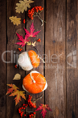 autumn background with leaves and pumpkins, thanksgiving and halloween card