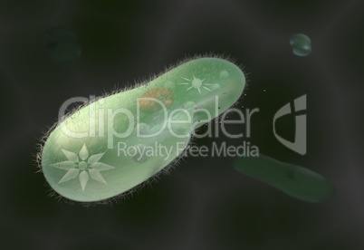 model biological micro organism paramecium caudatum 3d illustration