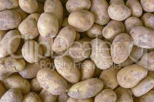 bunch of fresh new potatoes