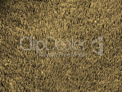 Artificial grass sepia