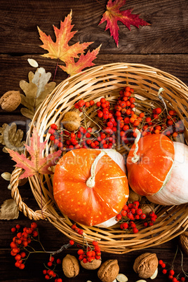 autumn background with leaves and pumpkins, thanksgiving and halloween card