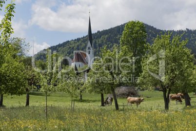 Tegernsee Landschaft