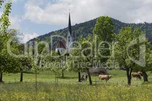 Tegernsee Landschaft