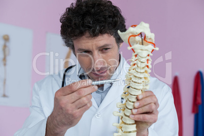 Physiotherapist examining a spine model