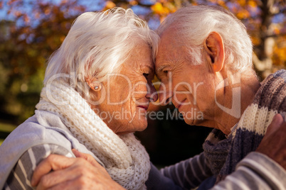 Senior couple embracing and touching their head