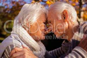 Senior couple embracing and touching their head