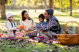 Family relaxing at park