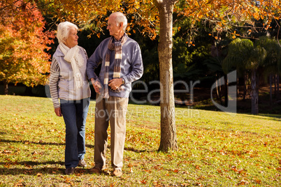 Senior couple walking