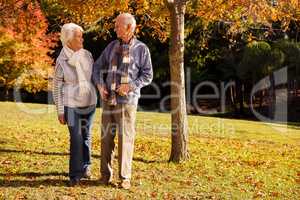 Senior couple walking