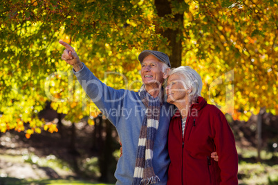 Senior man pointing while standing with woman