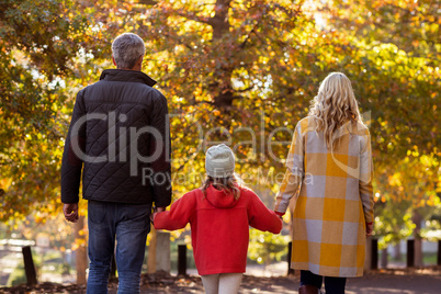 Rear view of family by trees at park