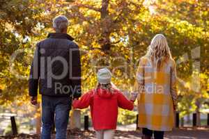 Rear view of family by trees at park