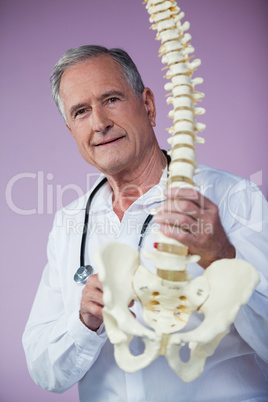 Portrait of physiotherapist examining a spine model