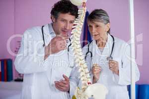 Two physiotherapists discussing with spine model