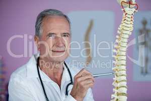 Portrait of physiotherapist examining a spine model