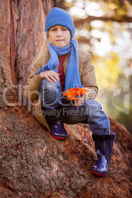 Portrait of boy holding pinwheel while crouching on tree trunk