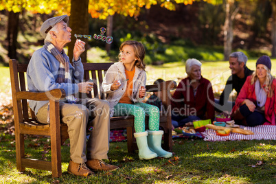 Grandfather blowing bubbles with granddaughter at park