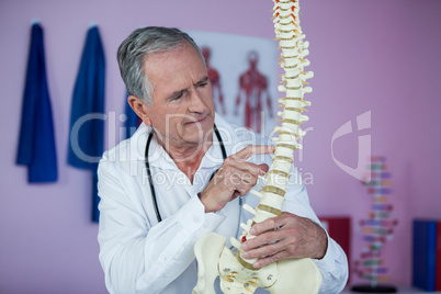 Physiotherapist examining a spine model