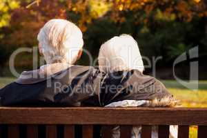 Senior couple embracing on a bench