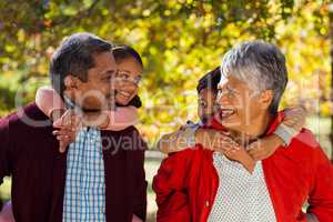 Grandparents piggybacking grandchildren at park