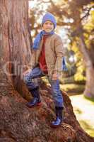 Portrait of smiling boy standing on tree trunk