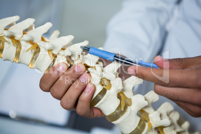 Physiotherapist pointing at spine model