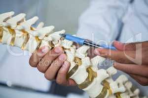 Physiotherapist pointing at spine model