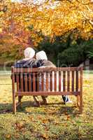 Senior couple embracing on a bench