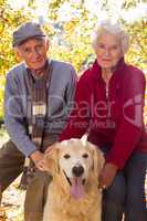 Elderly couple are sitting and smiling at camera with dog
