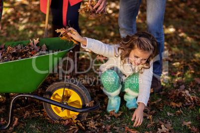 Girl picking up autumn leaves at park