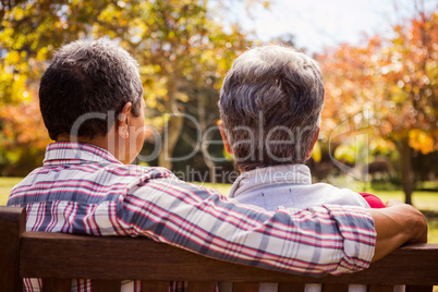 Elderly couple sitting on the bench with their back to the camer