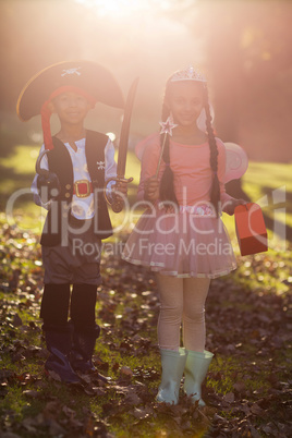 Portrait of smiling siblings wearing costumes at park