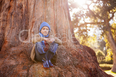 Portrait of boy hugging knees while sitting on tree trunk