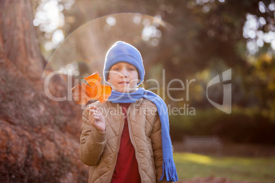 Portrait of cute boy holding autumn leaf