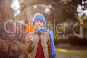 Portrait of cute boy holding autumn leaf