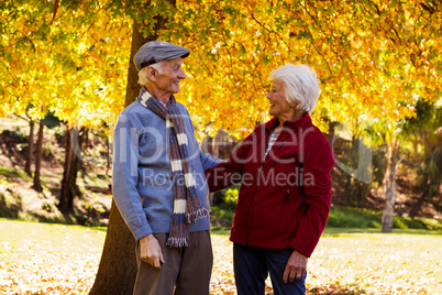 Senior couple embracing Senior couple embracing