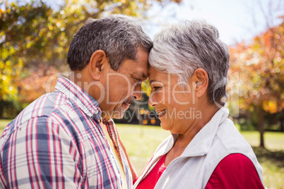 An elderlry couple embracing and romancing at park